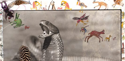 Record per l’asta di Finarte Fotografia online finarte fotografia