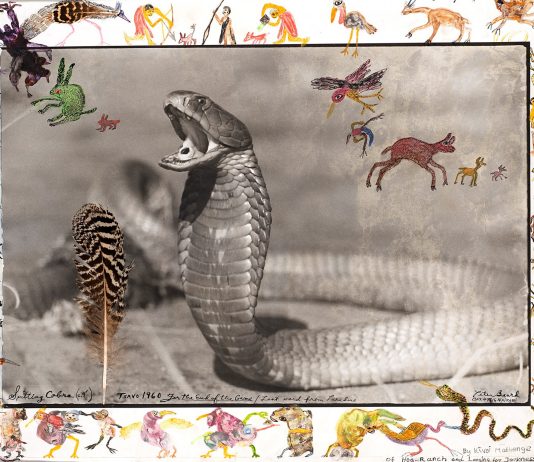 Record per l’asta di Finarte Fotografia online finarte fotografia