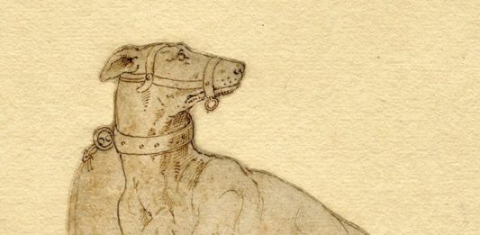 Cento disegni antichi della collezione Carlo Pineider donati agli Uffizi