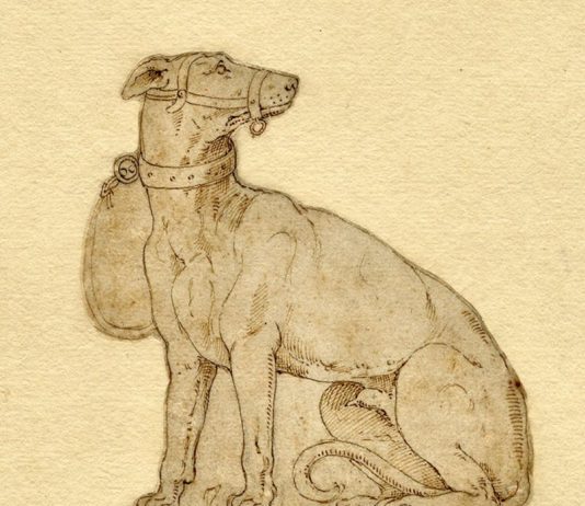 Cento disegni antichi della collezione Carlo Pineider donati agli Uffizi