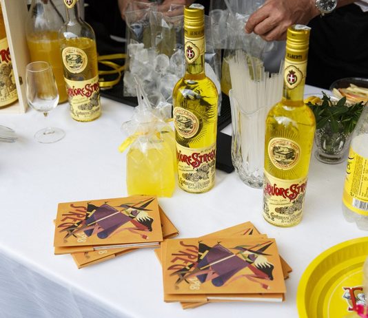 54 libri per il Premio Strega 2020: i candidati degli Amici della Domenica