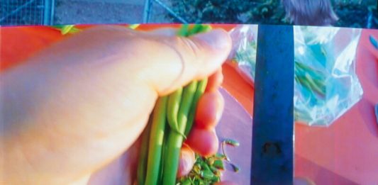 Hauser & Wirth, P420 e Continua: i progetti online