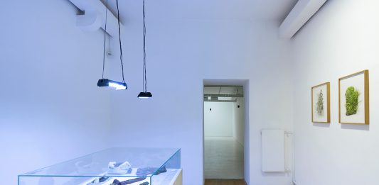 Diana Lelonek, Buona Fortuna | Fondazione Pastificio Cerere diana lelonek pastificio cerere