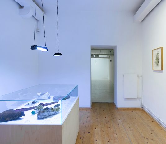 Diana Lelonek, Buona Fortuna | Fondazione Pastificio Cerere diana lelonek pastificio cerere