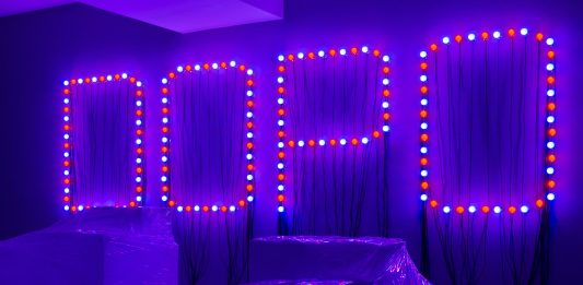 I 15 anni della Fondazione Merz. Intervista a Beatrice Merz