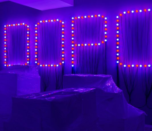 I 15 anni della Fondazione Merz. Intervista a Beatrice Merz