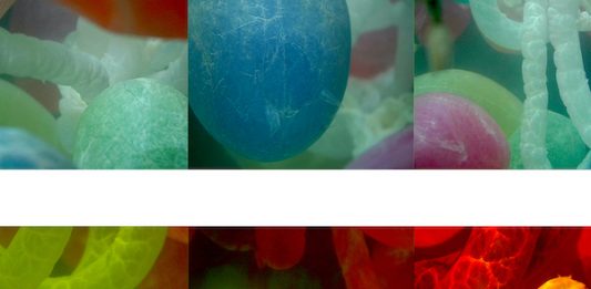 Galleria Fumagalli resta a casa con te