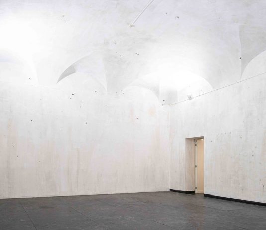 Gallerie ai tempi del distanziamento sociale: Pinksummer pinksummer covid-19