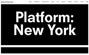 David Zwirner, Platform New York