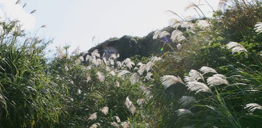 ‘Un racconto in video’ per Fotografia Europea Fotografia Europea