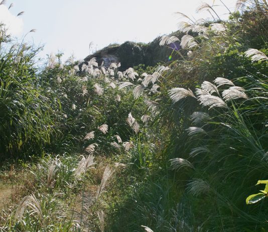 ‘Un racconto in video’ per Fotografia Europea Fotografia Europea