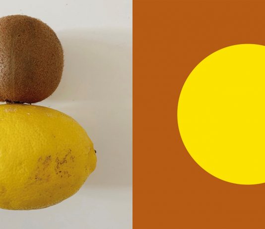 Palazzo Grassi – Punta della Dogana: il nuovo progetto online Palazzo Grassi