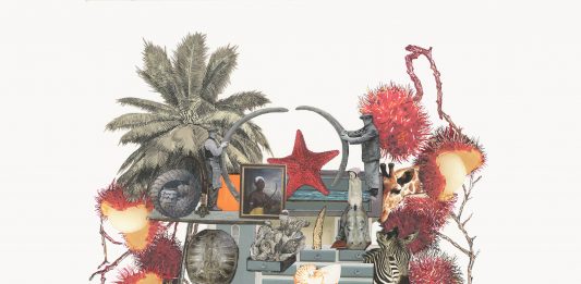 Lo Spettro di Malthus: il progetto di Marzia Migliora al MAGA va online