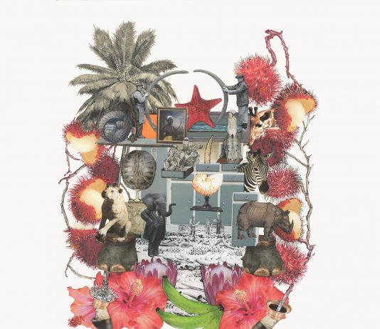 Lo Spettro di Malthus: il progetto di Marzia Migliora al MAGA va online