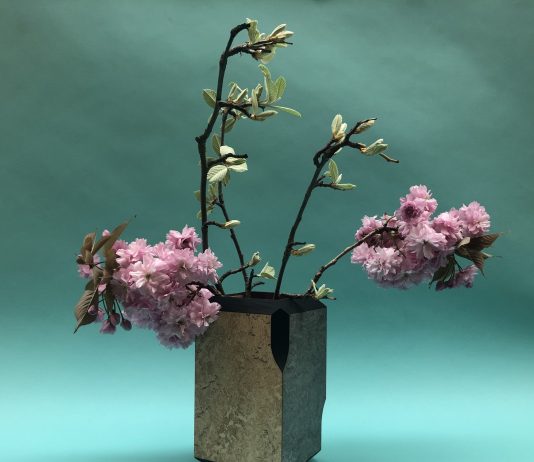 L’emergenza aguzza l’arte: i progetti a distanza di CRAC, Noero e Poleschi