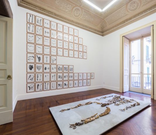 Gallerie ai tempi del distanziamento sociale: Tiziana Di Caro tiziana di caro coronavirus