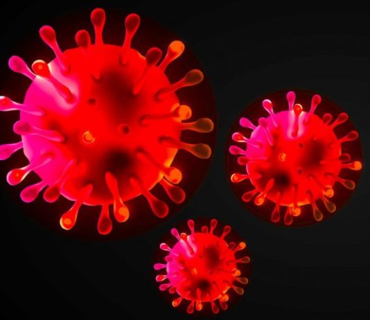 E dopo la tempesta? coronavirus