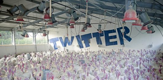 Promemoria per un futuro meno cupo Filippo Minelli, Twitter, 2010, Contradictions series. © Filippo Minelli, www.filippominelli.com - courtesy UNA