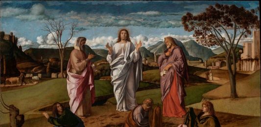 La Trasfigurazione di Bellini, Museo e Real Bosco di Capodimonte Trasfigurazione di Bellini a Capodimonte