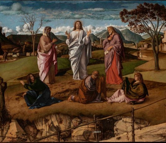 La Trasfigurazione di Bellini, Museo e Real Bosco di Capodimonte Trasfigurazione di Bellini a Capodimonte