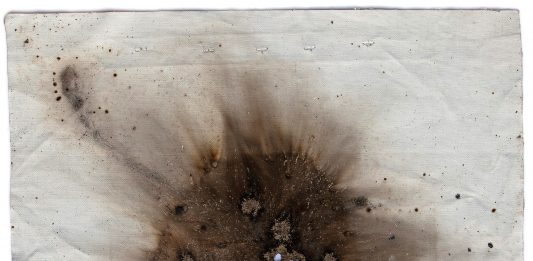 ART to STOP COVID-19, l’asta di beneficenza di Blindarte supera i 114mila euro Cai Guo-Qiang, Gunpowder test from Naples n.7, 2018