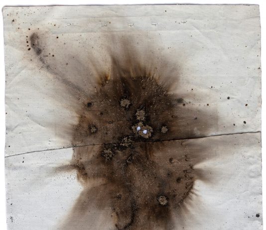 ART to STOP COVID-19, l’asta di beneficenza di Blindarte supera i 114mila euro Cai Guo-Qiang, Gunpowder test from Naples n.7, 2018