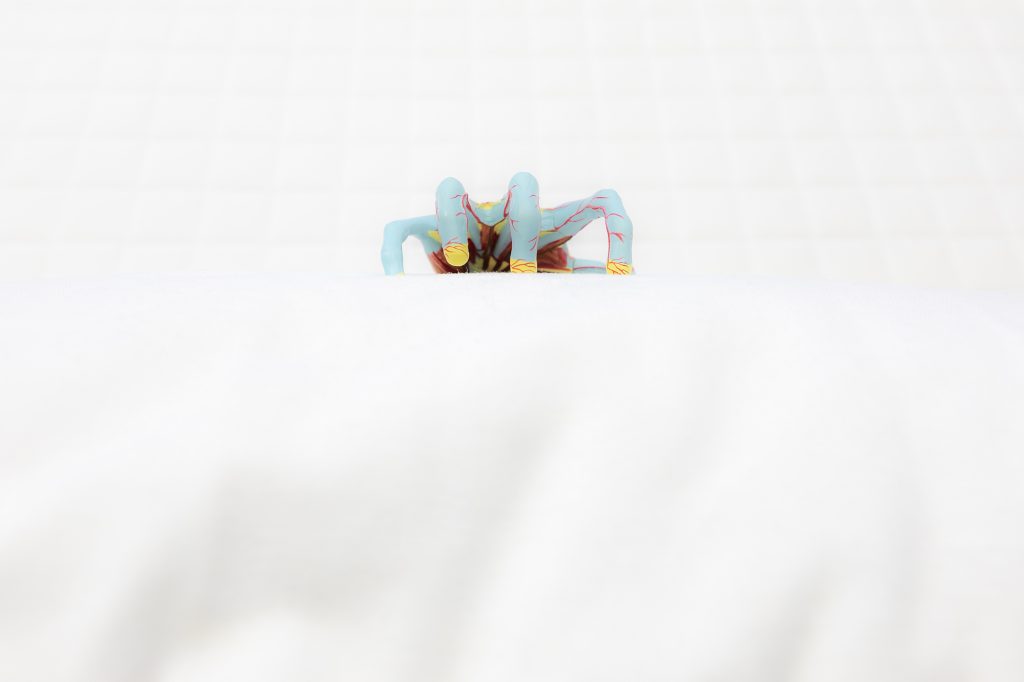 Luca Gilli, Faobia, courtesy l'artista e Paola Sosio Arte Contemporanea