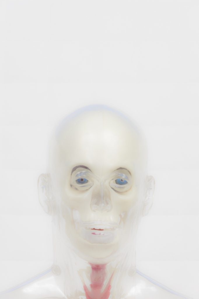Luca Gilli, Neo Sapiens, courtesy l'artista e Paola Sosio Arte Contemporanea