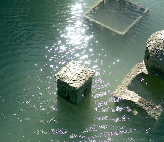 Le immagini di Paolo Pellegrin e Silvia Camporesi, per il MAXXI online