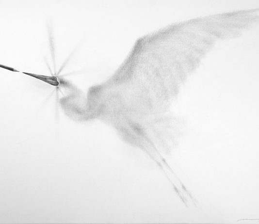 Massimiliano Galliani: i disegni di ‘Attraverso’ Massimiliano Galliani