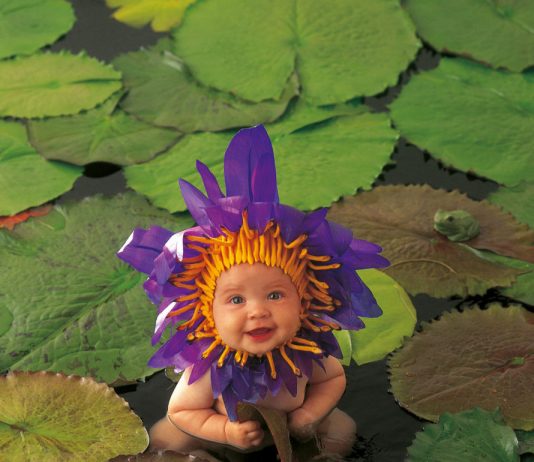 Anne Geddes in crisi: l’iconica fotografa dei primi ’00 ha bisogno di noi