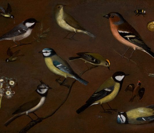 Le pittrici conquistano il mercato: il caso Sotheby’s