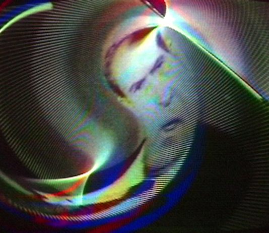 Artisti, covid e Forum. Intervista a Fabio Cavallucci Nam June Paik, Magnet TV