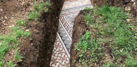 Il tesoro sotto le vigne: domus romana scoperta a Negrar di Valpolicella la domus di negrar di valpolicella