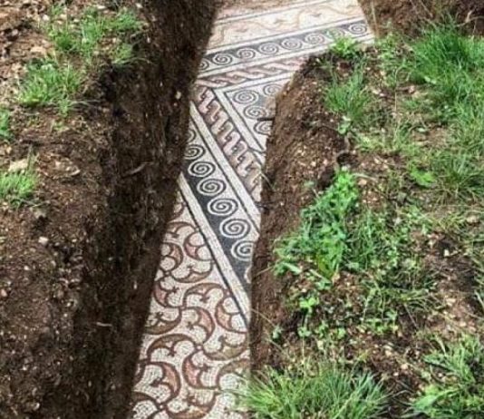 Il tesoro sotto le vigne: domus romana scoperta a Negrar di Valpolicella la domus di negrar di valpolicella