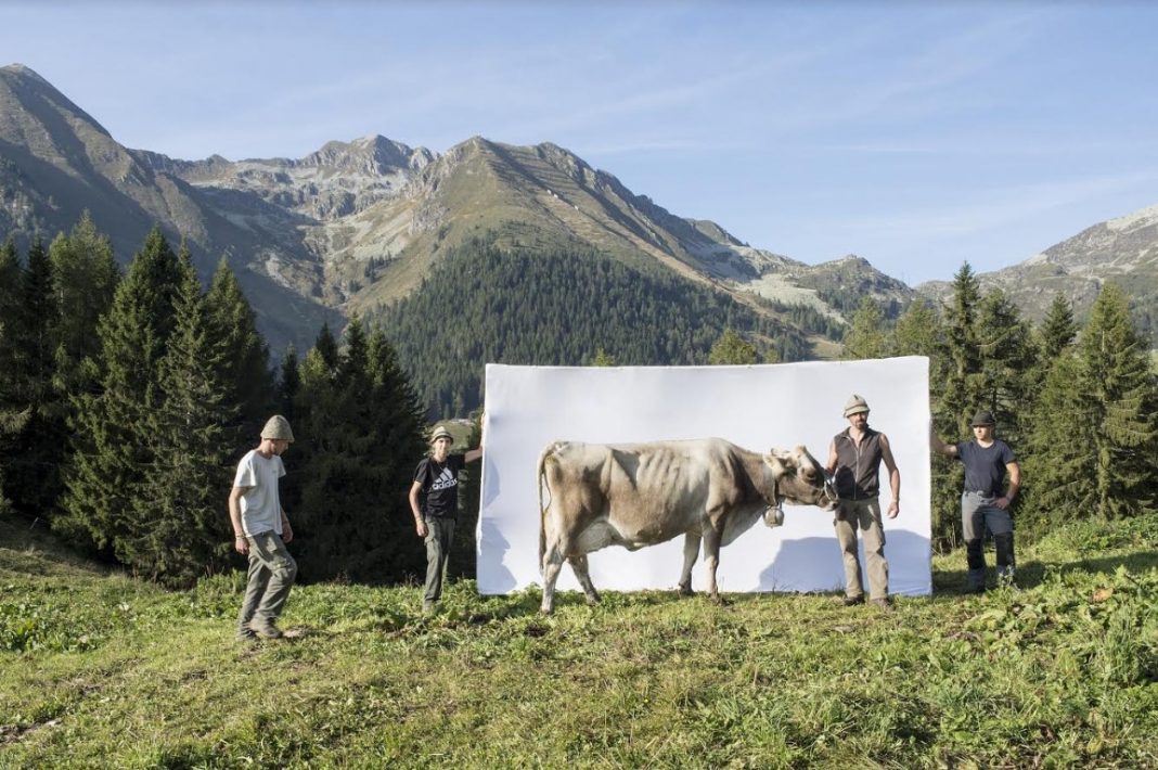 Marco Mazzoleni – Segni e Sogni d’alpe. Passione, orgoglio e resilienzahttps://www.exibart.com/repository/media/2020/05/orobie-1068x710.jpg