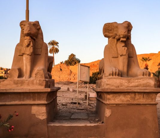 Il Ministro delle antichità egiziane sposta le sfingi di Luxor a Piazza Tahrir: è polemica