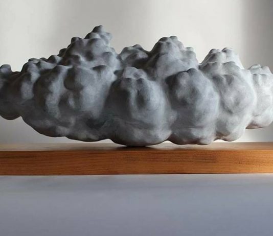 13 opere per aiutare due licei artistici della provincia di Lucca