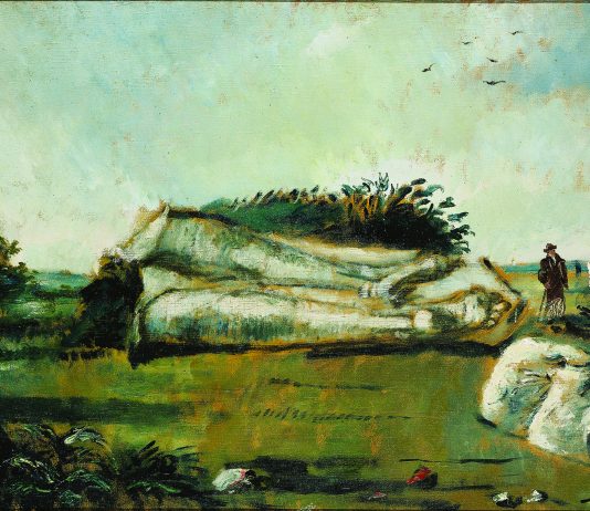 De Pisis a Palazzo Altemps. Intervista a Pier Giovanni Castagnoli de pisis