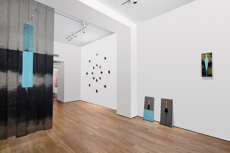 Davide D'Elia installation view