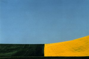 Franco Fontana, Basilicata, 1975, dalla mostra Memoria e Passione. Da Capa a Ghirri. Capolavori dalla Collezione Bertero