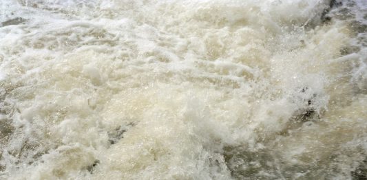 Giornata dell’ambiente: le immagini di Gigi Cifali, dalla Terra dei Fuochi