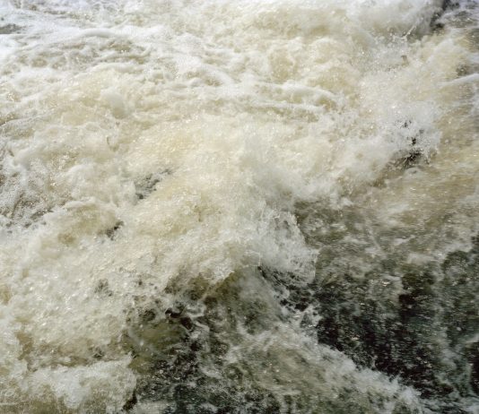 Giornata dell’ambiente: le immagini di Gigi Cifali, dalla Terra dei Fuochi