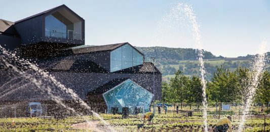 Il nuovo giardino di Piet Oudolf mette radici nel Vitra Campus