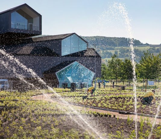 Il nuovo giardino di Piet Oudolf mette radici nel Vitra Campus