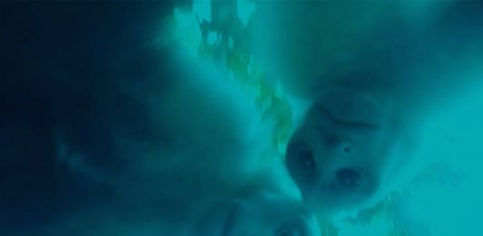 Gallery to Gallery: a Bologna tour guidati tra 6 gallerie Gallery to gallery