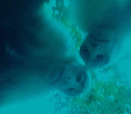 Gallery to Gallery: a Bologna tour guidati tra 6 gallerie Gallery to gallery