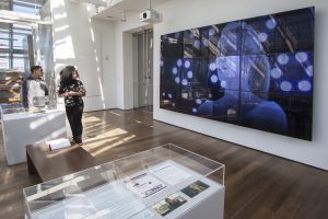 RE:Animation, 2017. View of the installation at Harvard Art Museums. Courtesy: the artist