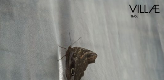 Petra Feriancová, FABVLAE Mostra personale. Villa d’Este Santuario di Ercole Vincitore 18 luglio – 13 settembre