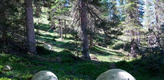 Arcipelago fossile. Un percorso tra arte, natura e paesaggio sulle Dolomiti D’Ampezzo